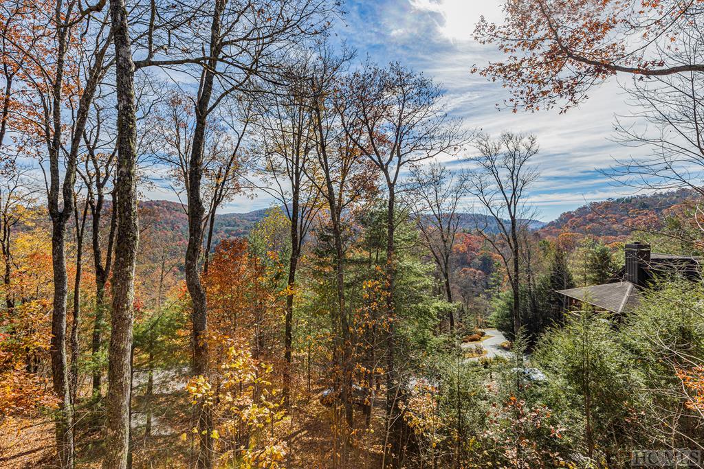 271 B Rendezvous Ridge, Unit B Cashiers, NC 28717 - Photo 35 of 35 Gallery Image 35