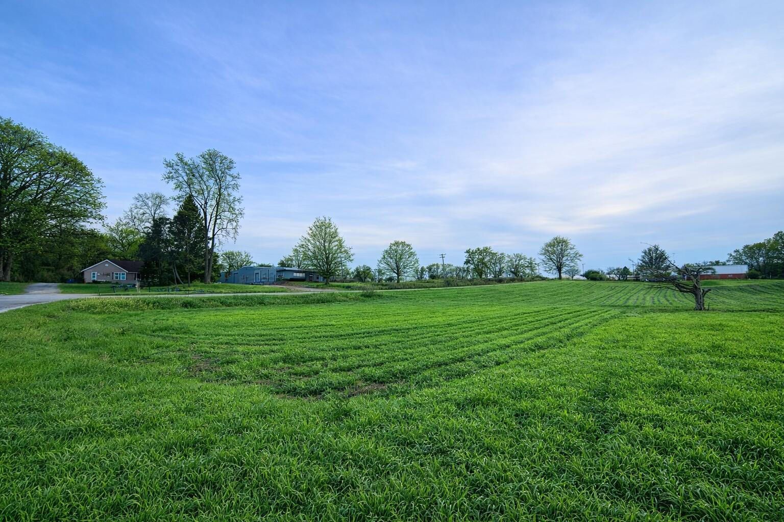 15774 Townline Road Buchanan, MI 49107 - Photo 6 of 14 Corner of Townline Rd and Fourth Street