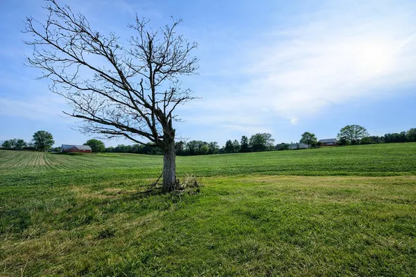 $119,500 | 15774 Townline Road, Buchanan, MI 49107