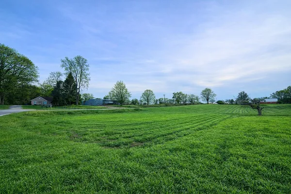 $119,500 | 15774 Townline Road, Buchanan, MI 49107