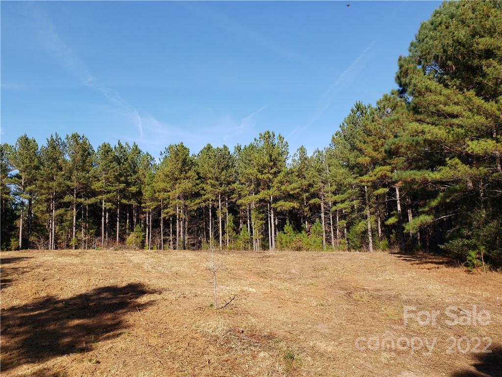 140 Harvey Road Gaffney, SC 29340 - Photo 34 of 46 a view of outdoor space with trees