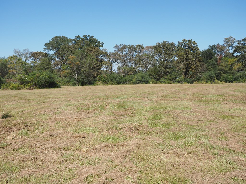 930 Fordsville Road Tylertown, MS 39667 - Photo 22 of 27 Photo 22