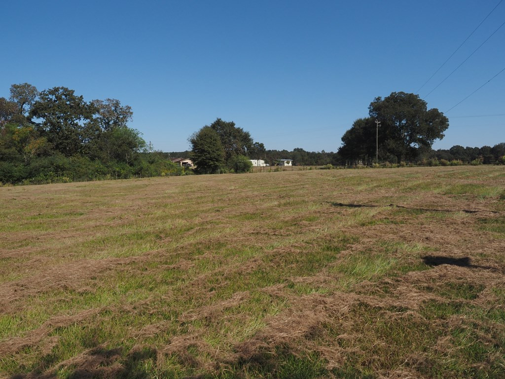 930 Fordsville Road Tylertown, MS 39667 - Photo 25 of 27 Photo 25