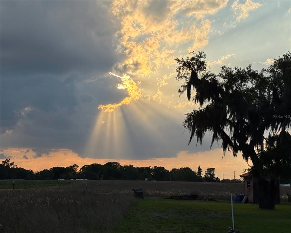 3919 Sparta Road Sebring, FL 33875 - Photo 73 of 74