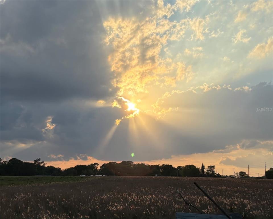 3919 Sparta Road Sebring, FL 33875 - Photo 74 of 74