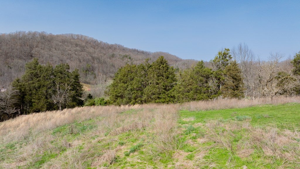 Tbd Keyhole Road Fort Blackmore, VA 24250 - Photo 6 of 16 Gallery Image 6