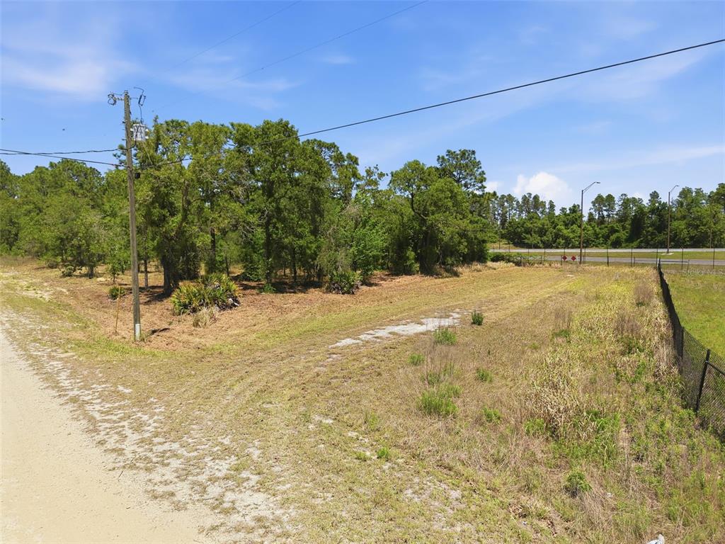 10 Cagarro Road Weeki Wachee, FL 34614 - Photo 2 of 21