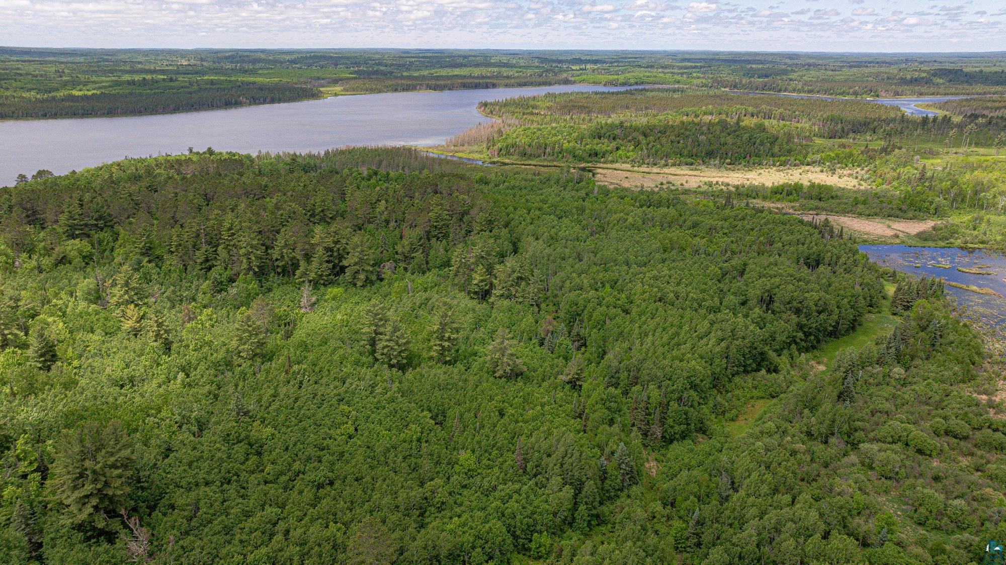 7280 Far North Road Buyck, MN 55771 - Photo 92 of 98