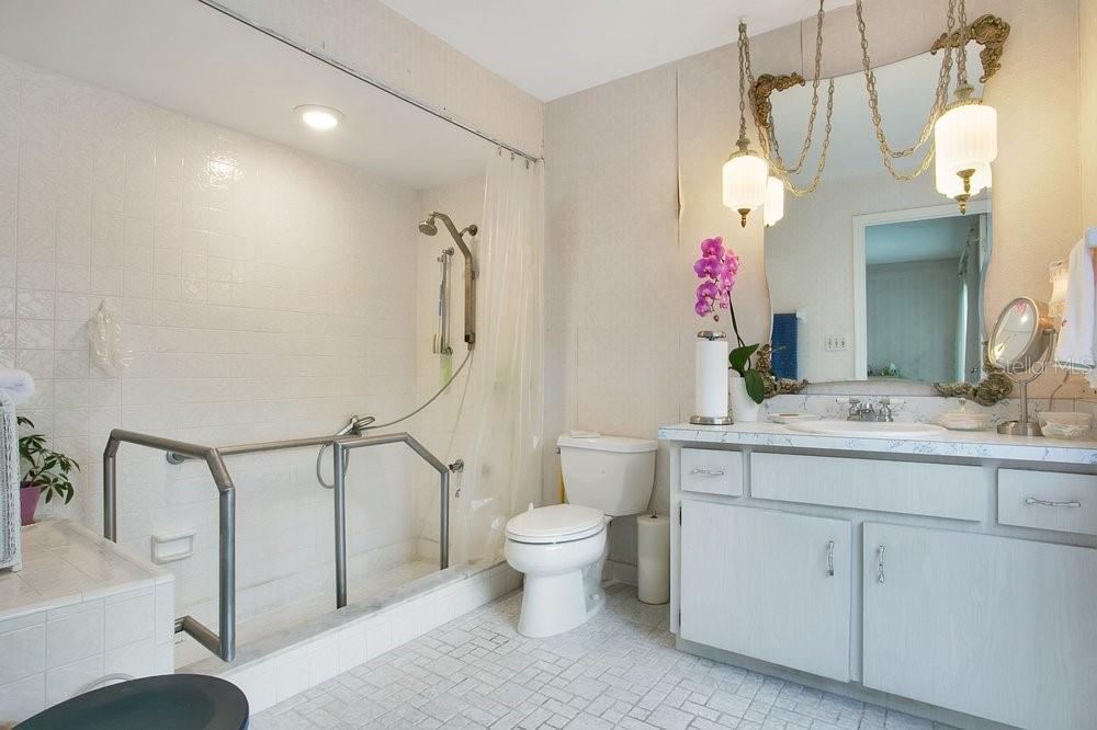 412 Forest Street Windermere, FL 34786 - Photo 10 of 34 a bathroom with a sink vanity mirror and toilet