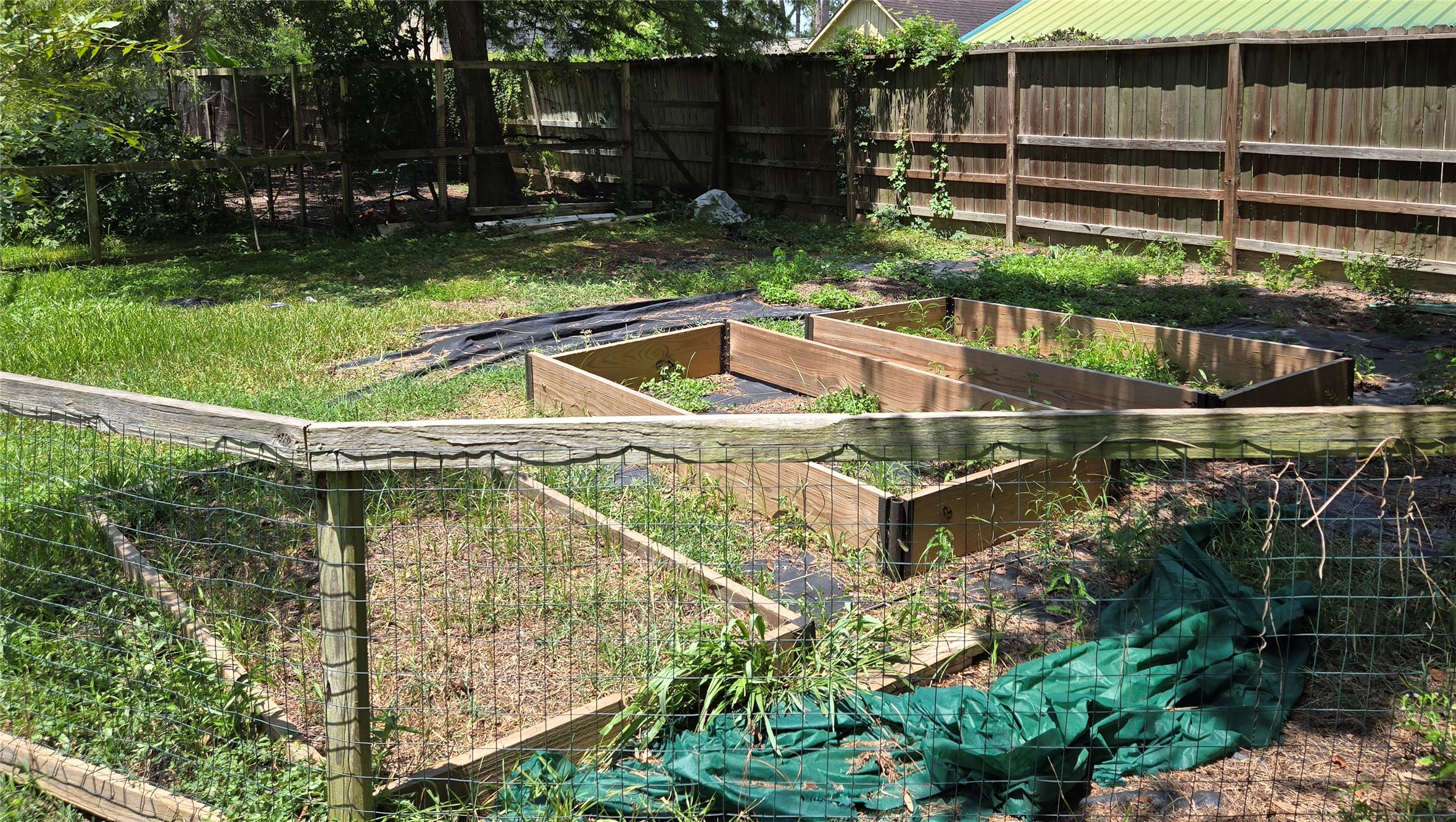9818 Shadow Wood Drive Houston, TX 77080 - Photo 27 of 36 a view of outdoor space and yard