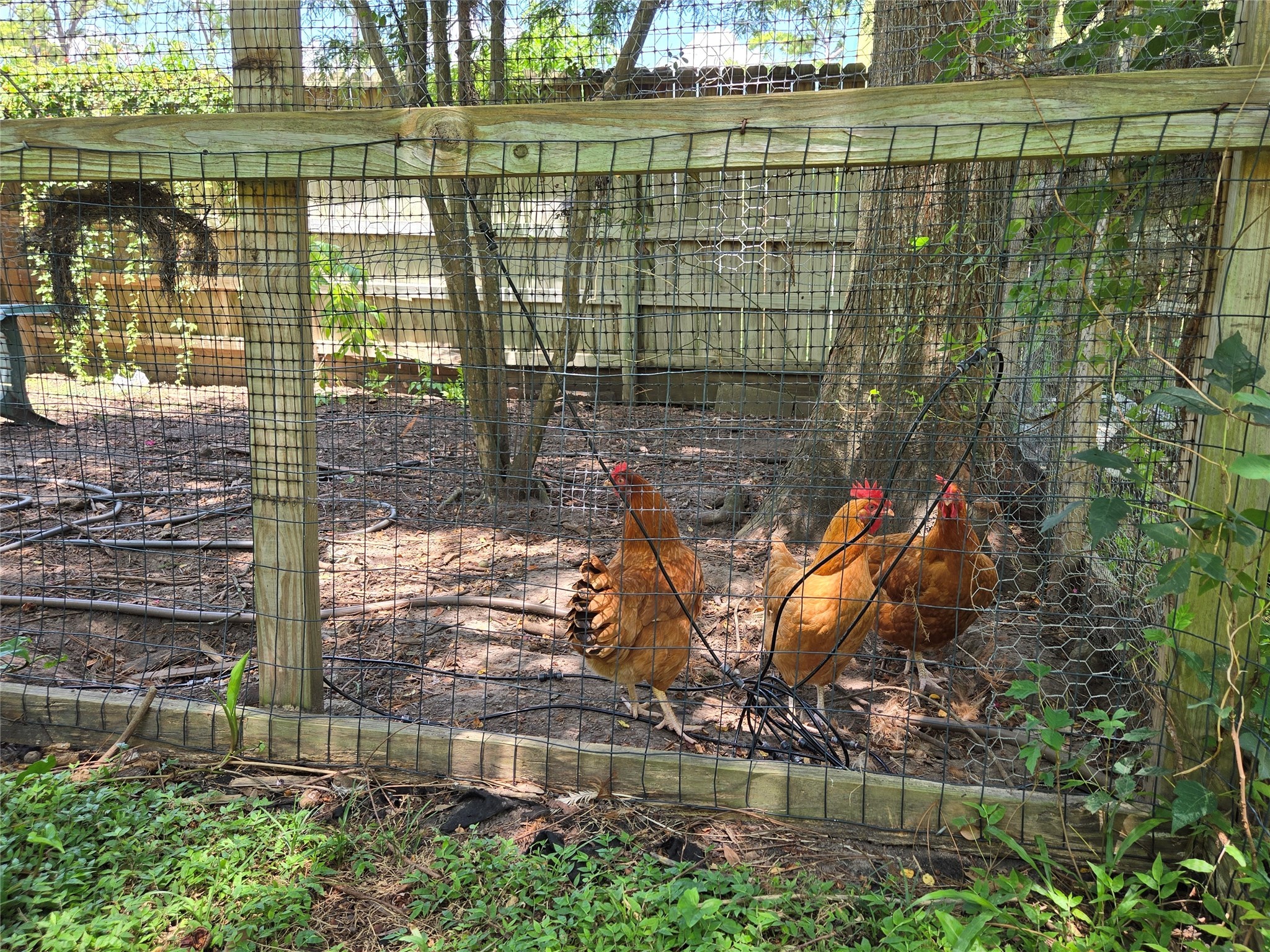 9818 Shadow Wood Drive Houston, TX 77080 - Photo 28 of 36 a view of outdoor space and lake view