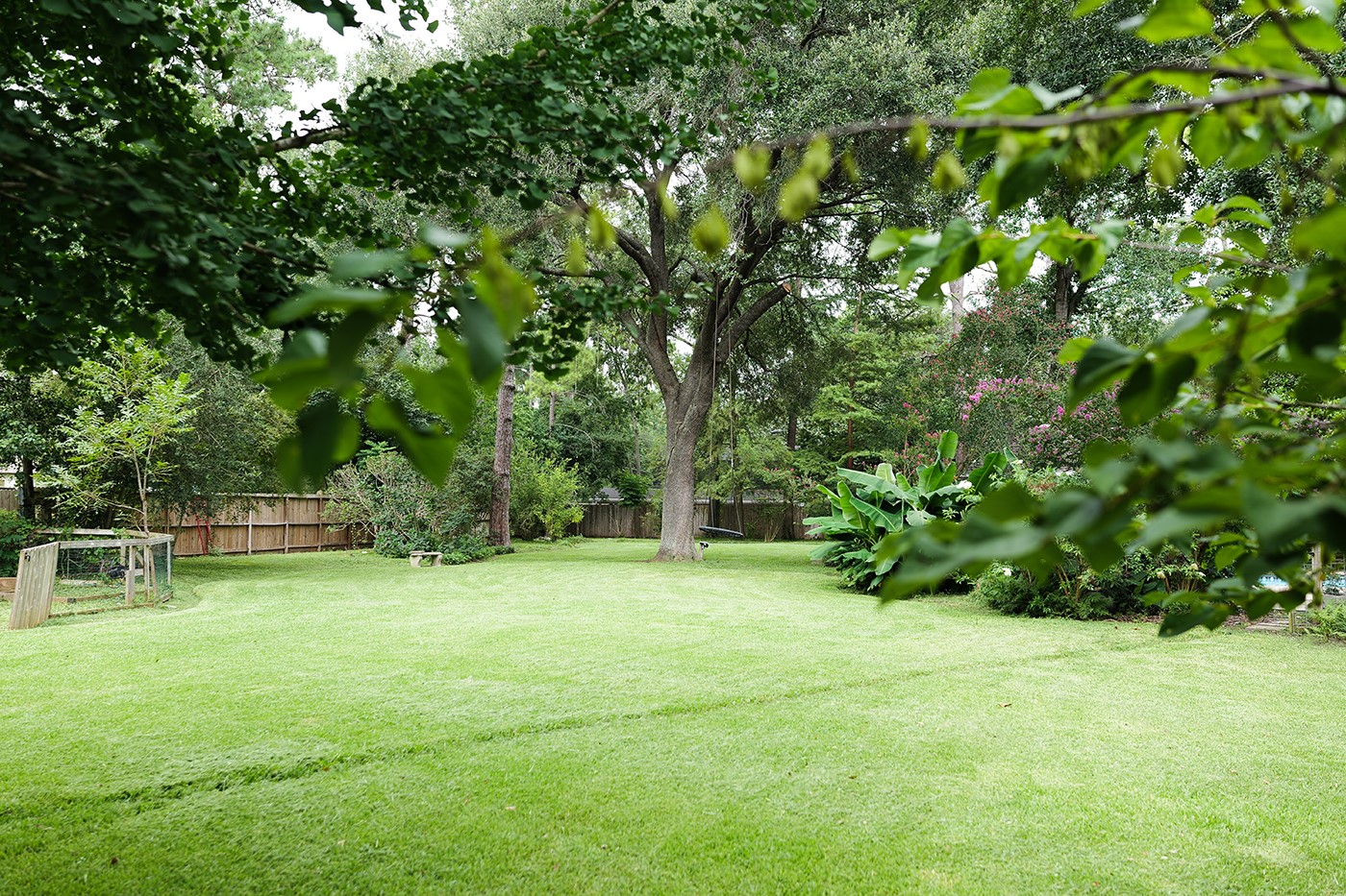9818 Shadow Wood Drive Houston, TX 77080 - Photo 32 of 36 a view of a trees with a yard