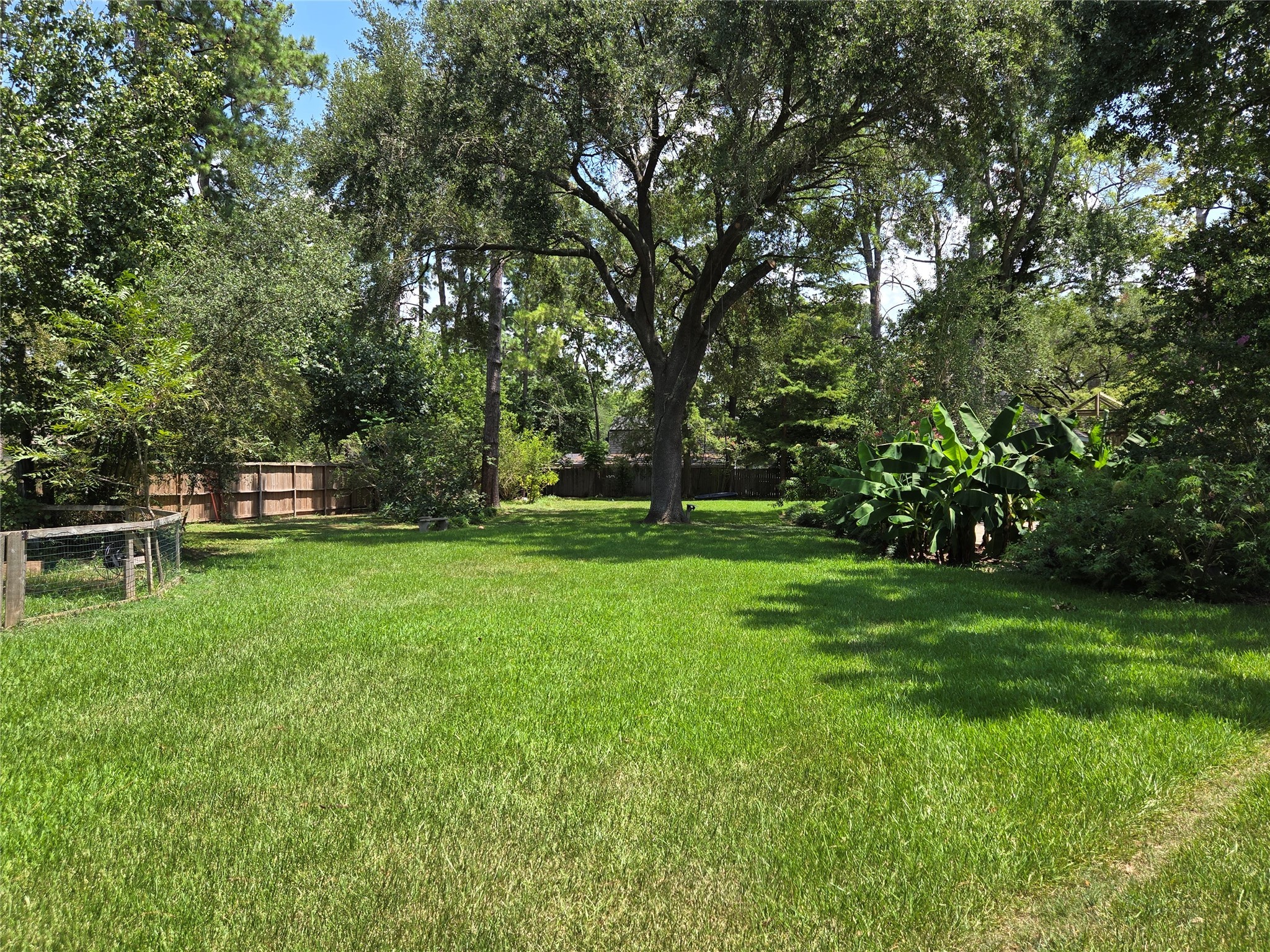 9818 Shadow Wood Drive Houston, TX 77080 - Photo 33 of 36 a view of a park with large trees
