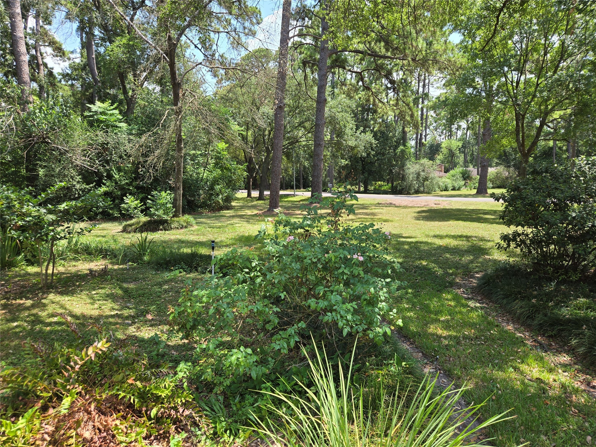 9818 Shadow Wood Drive Houston, TX 77080 - Photo 35 of 36 a view of outdoor space and yard