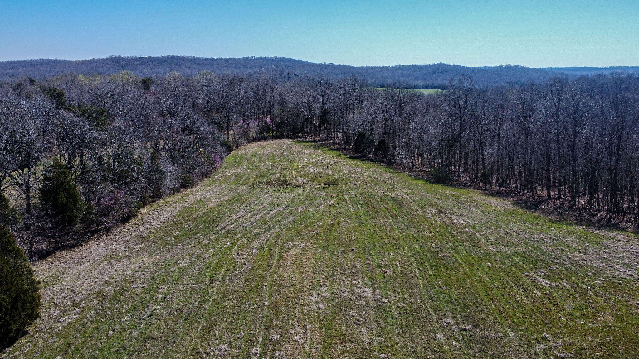 0 Edwards Road Princeton, KY 42445 - Photo 15 of 33 Edwardsrd-83