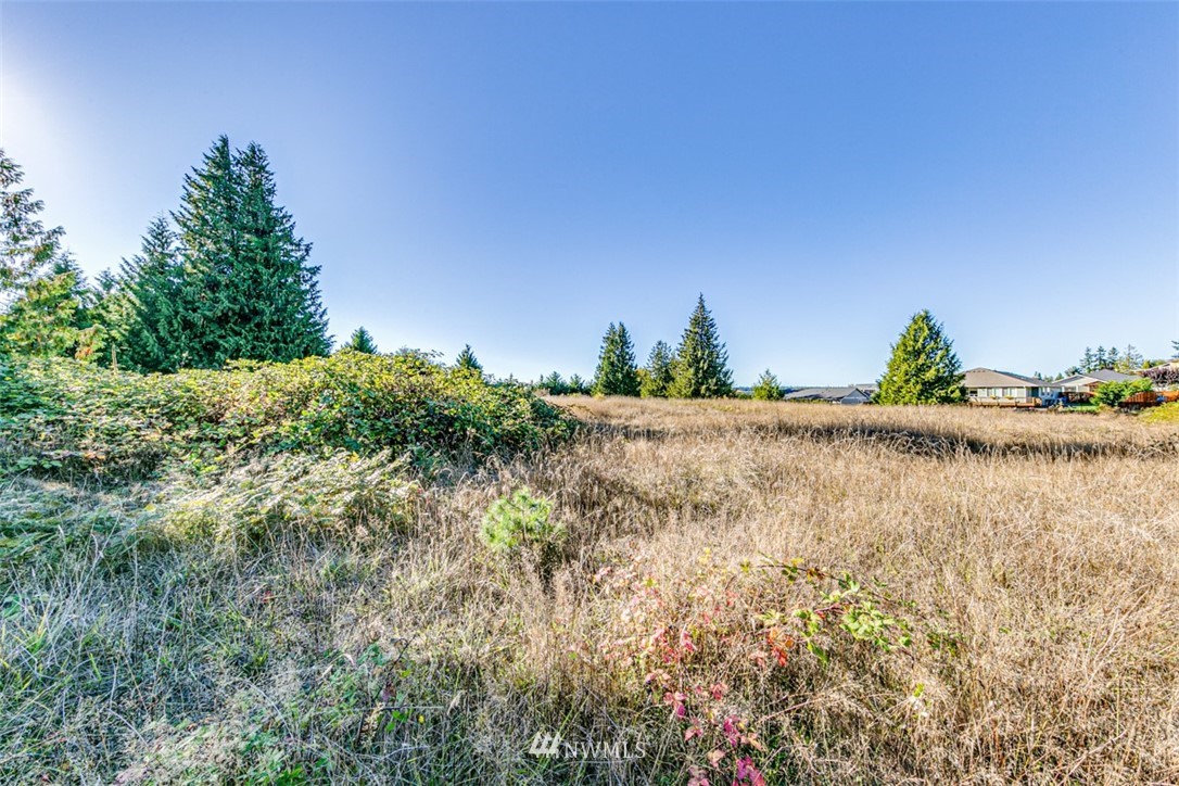 9999 Keeler Road Sequim, WA 98382 - Photo 12 of 26