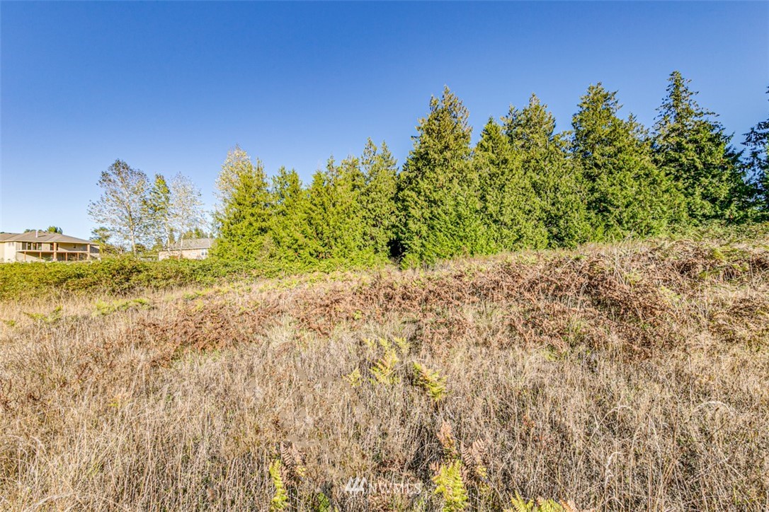 9999 Keeler Road Sequim, WA 98382 - Photo 13 of 26
