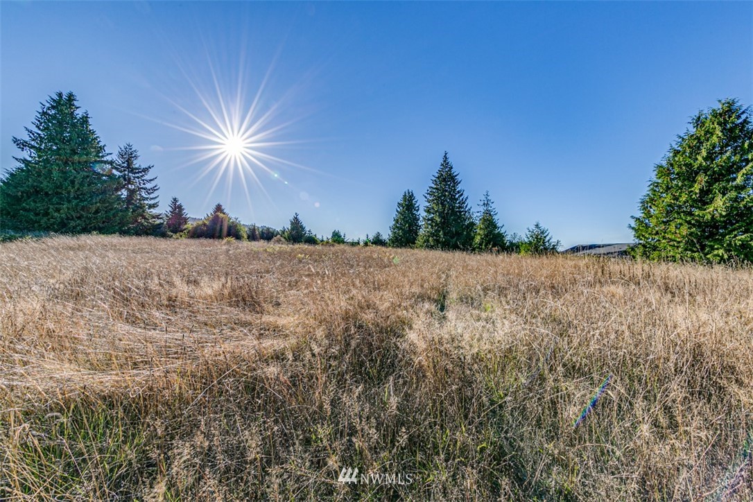 9999 Keeler Road Sequim, WA 98382 - Photo 18 of 26