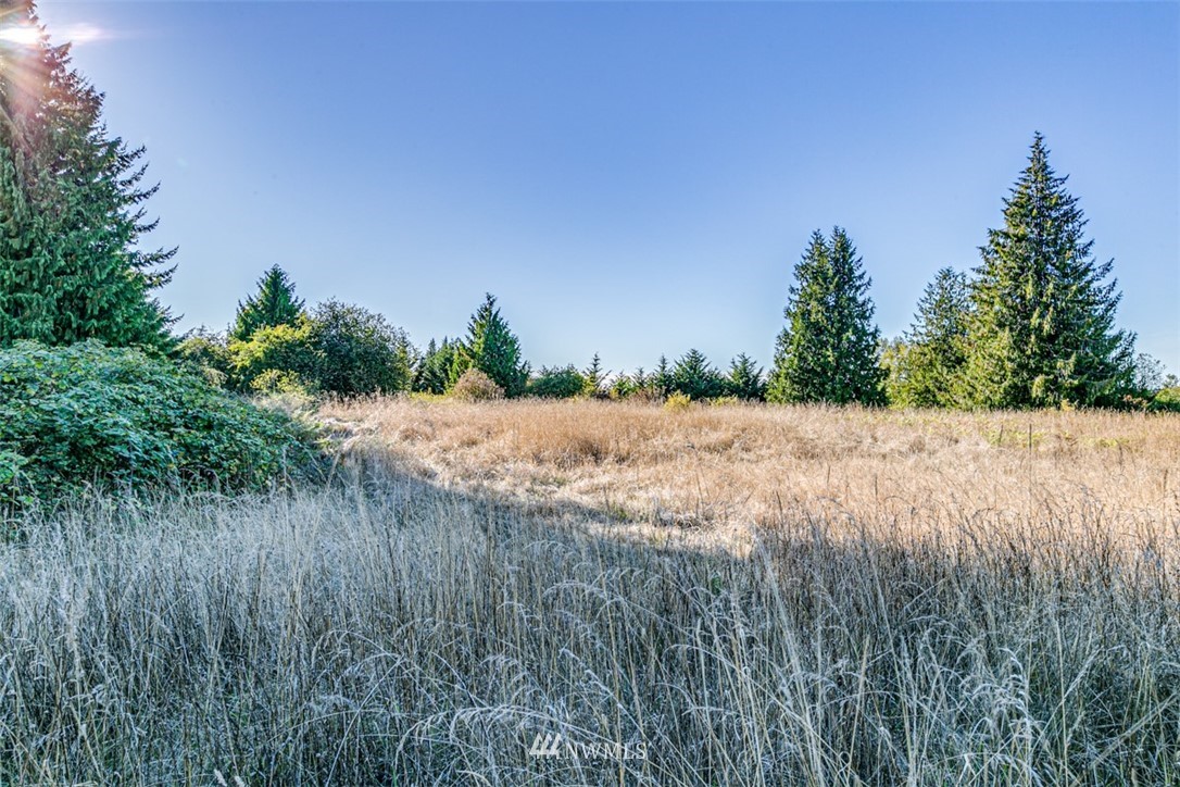 9999 Keeler Road Sequim, WA 98382 - Photo 19 of 26