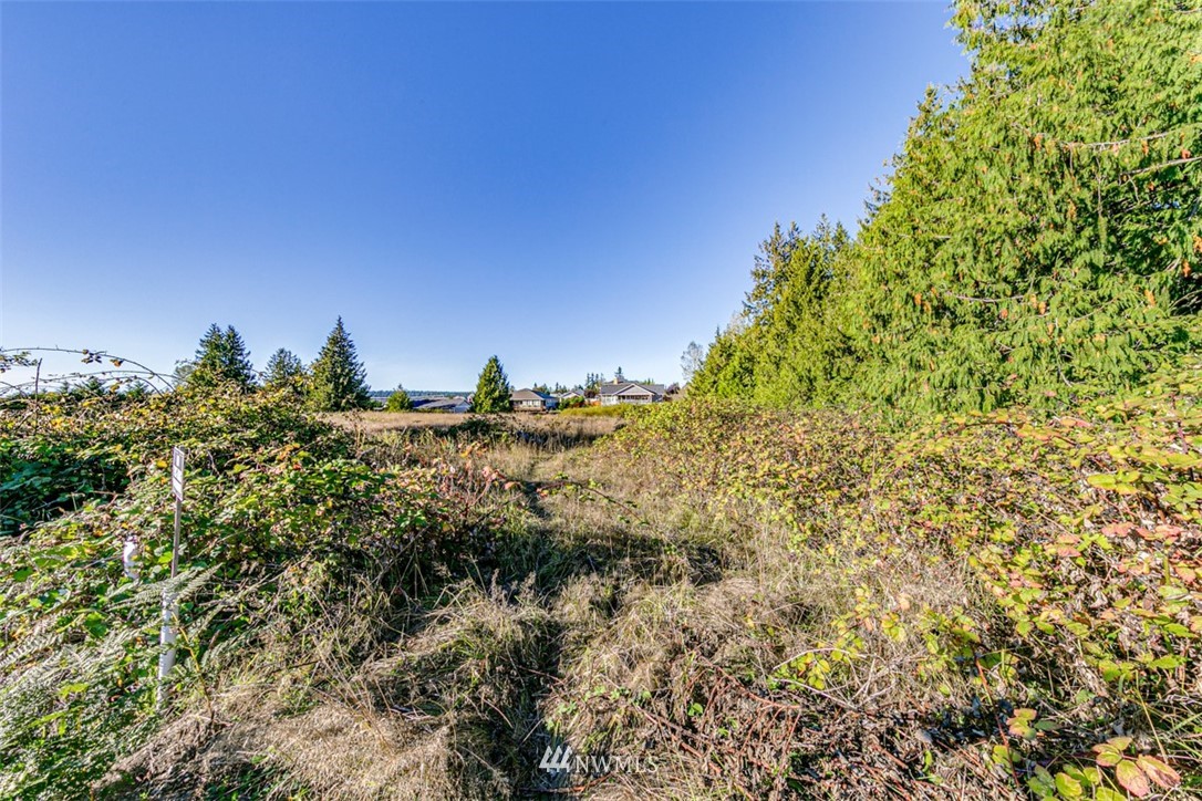 9999 Keeler Road Sequim, WA 98382 - Photo 20 of 26