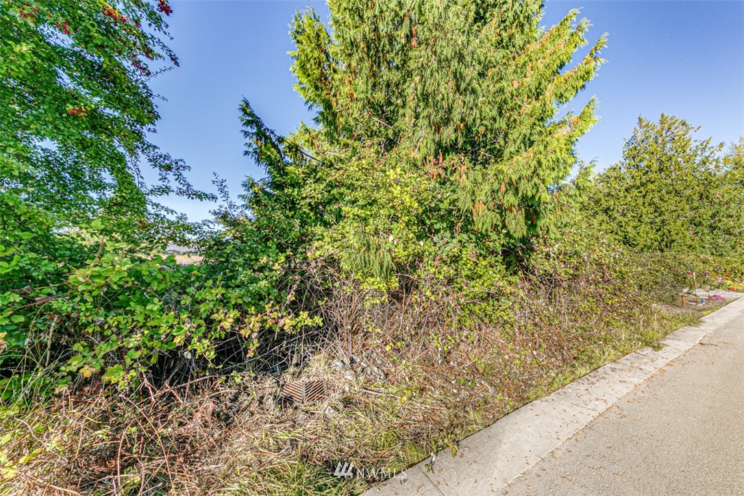 9999 Keeler Road Sequim, WA 98382 - Photo 25 of 26