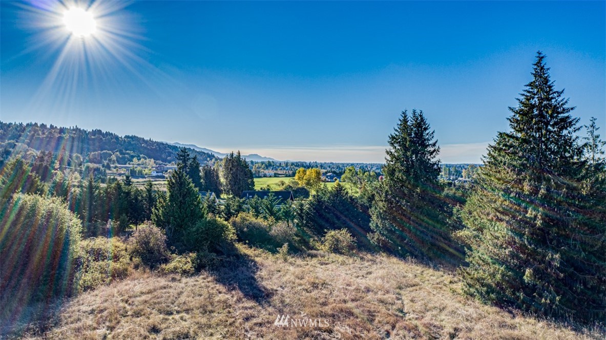 9999 Keeler Road Sequim, WA 98382 - Photo 8 of 26