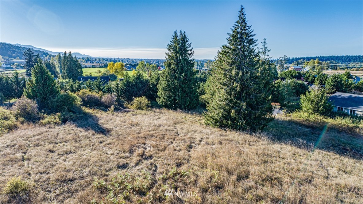 9999 Keeler Road Sequim, WA 98382 - Photo 9 of 26