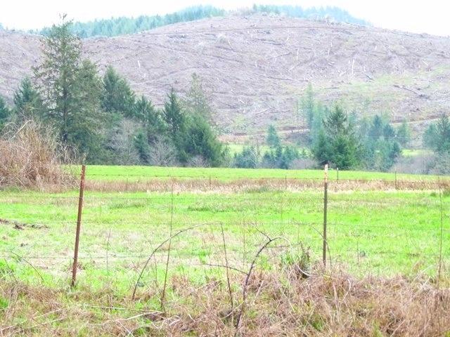 101 Highway 101 South Garibaldi, OR 97118 - Photo 7 of 8 P1080421