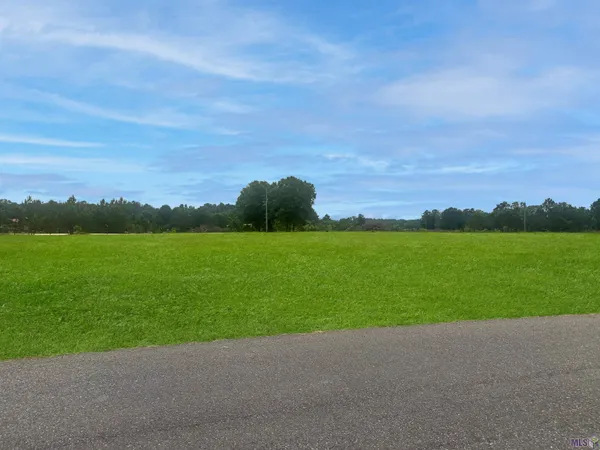 $70,000 | 5-a-2-c-4 5-a-2-c-4 Uncle Sons Lane, Pine Grove, LA 70453