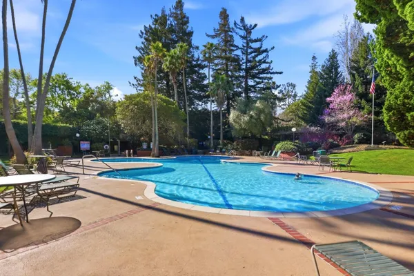 a view of a park with large trees