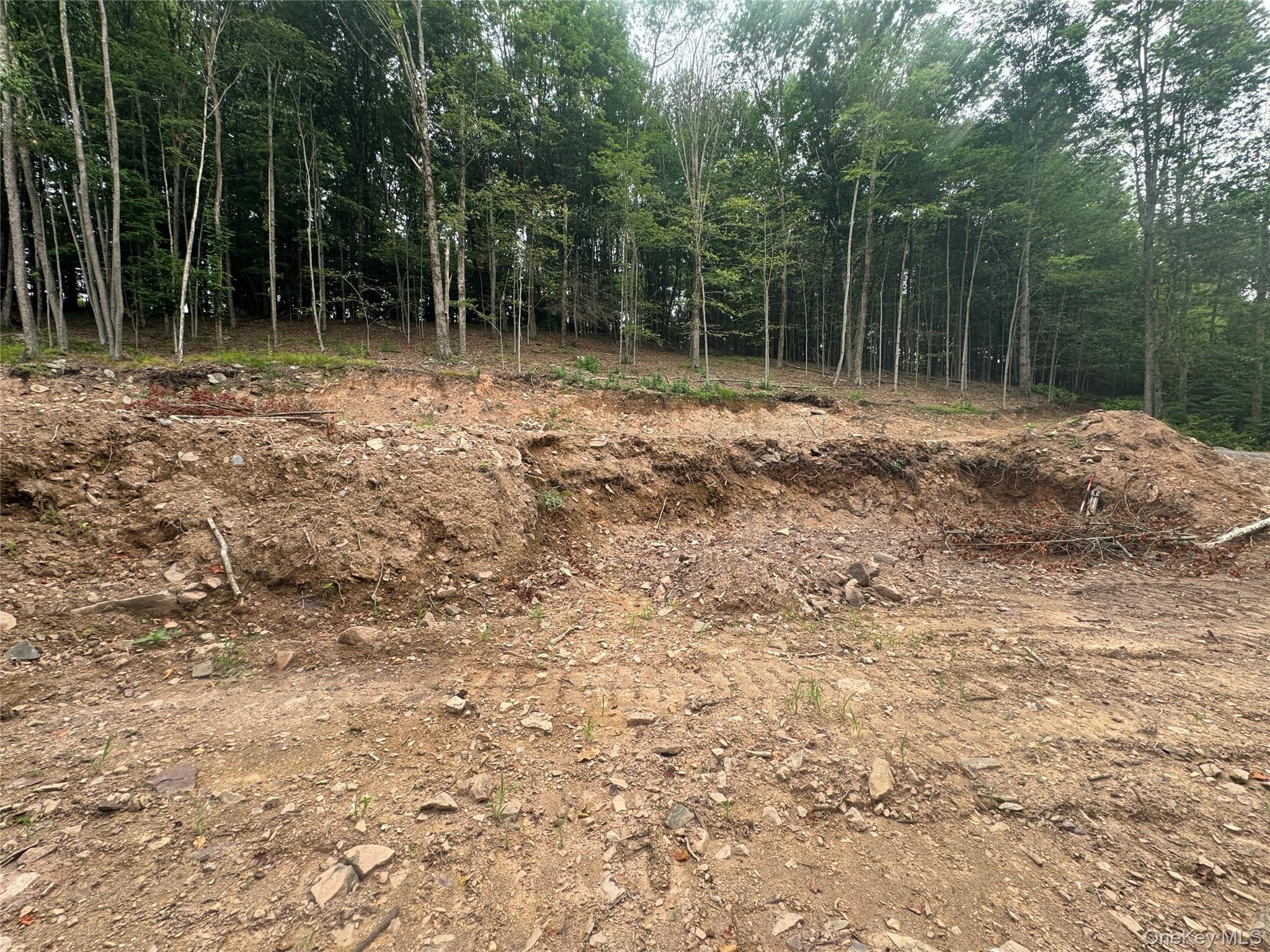 Rapp Road Monticello, NY 12701 - Photo 7 of 10 site view