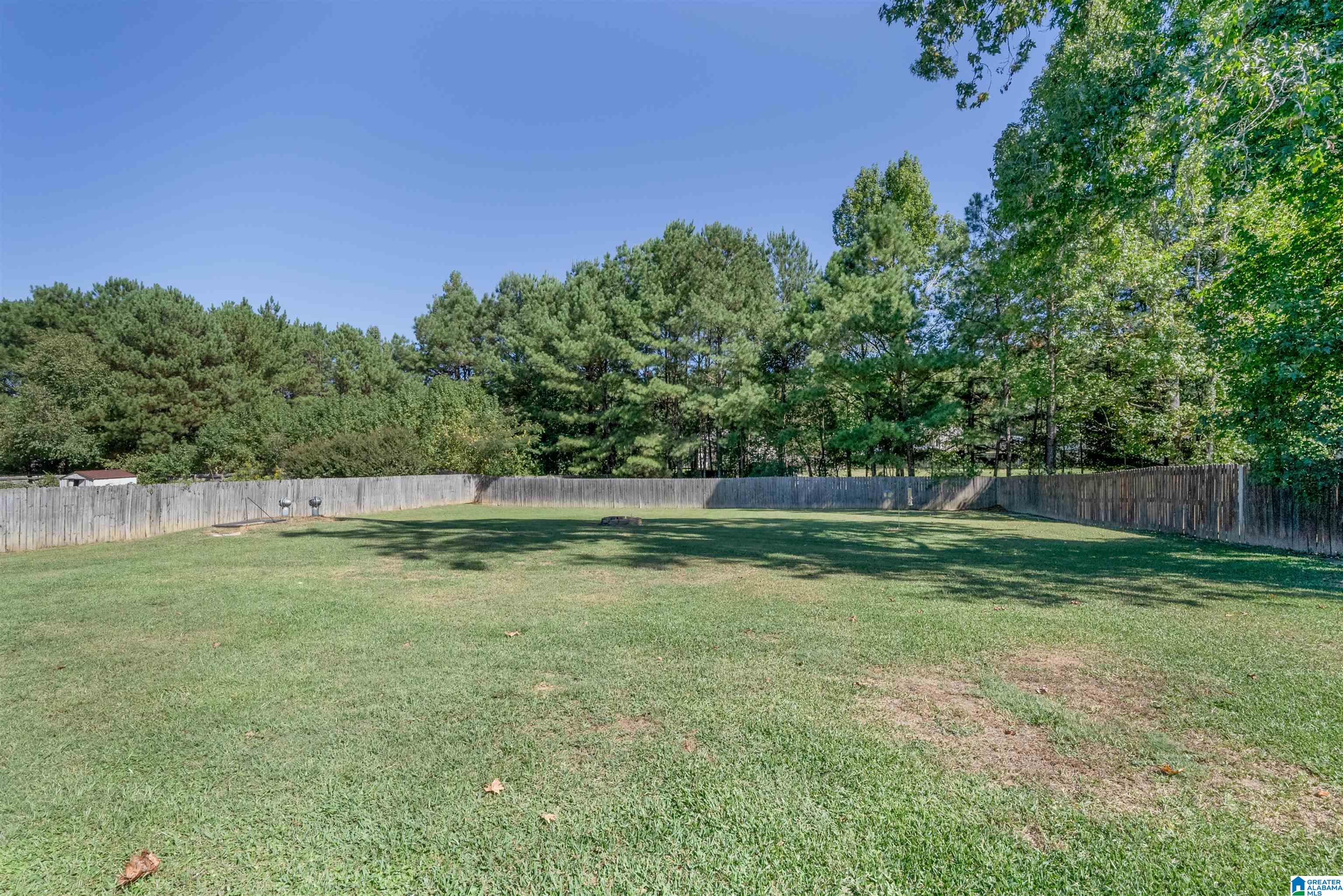 10818 Middle Coaling Road Cottondale, AL 35453 - Photo 26 of 35