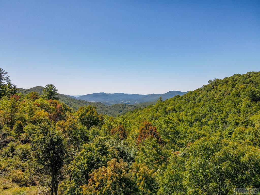 179 Old Bear Ridge Road Scaly Mountain, NC 28775 - Photo 50 of 73 Gallery Image 50