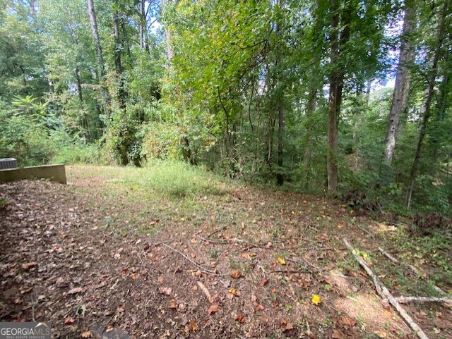 5389 Martins Crossing Road Stone Mountain, GA 30088 - Photo 26 of 30 a view of a forest with trees in the background