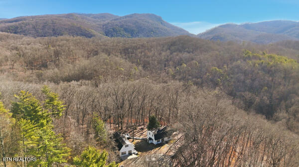 259 Watson Lane Middlesboro, KY 40965 - Photo 14 of 52 134134772112718817_134134771976713616_25