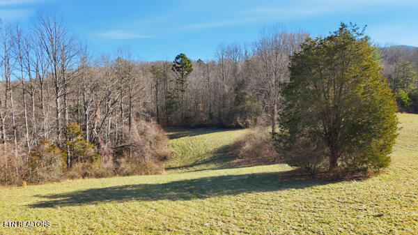 259 Watson Lane Middlesboro, KY 40965 - Photo 16 of 52 134134772059453265_134134771970141869_25