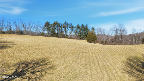 259 Watson Lane Middlesboro, KY 40965 - Photo 17 of 52 134134772060334653_134134771970158426_25