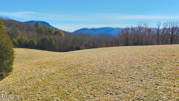 259 Watson Lane Middlesboro, KY 40965 - Photo 18 of 52 134134772086811513_134134771977054367_25