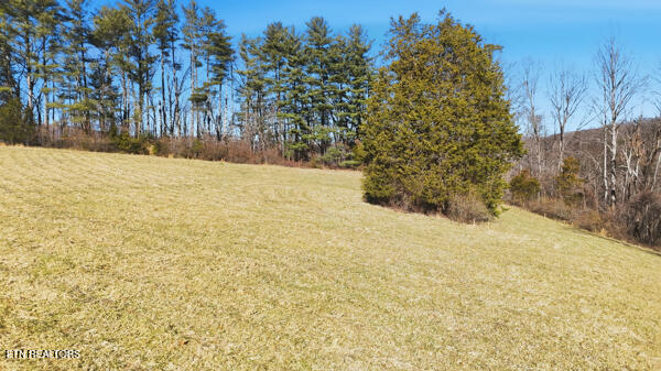 259 Watson Lane Middlesboro, KY 40965 - Photo 19 of 52 134134772103766352_134134771970093178_25