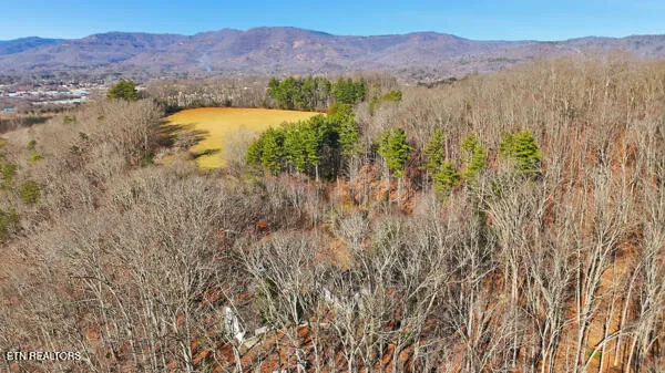 $2,500,000 | 259 Watson Lane, Middlesboro, KY 40965