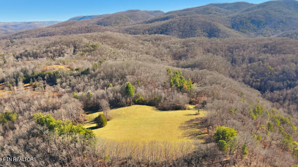 259 Watson Lane Middlesboro, KY 40965 - Photo 23 of 52 134134772074710116_134134771970070982_25