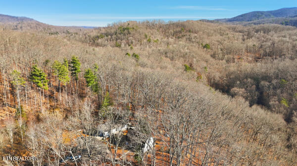 259 Watson Lane Middlesboro, KY 40965 - Photo 25 of 52 134134772134647926_134134772084468341_25