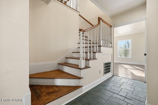 259 Watson Lane Middlesboro, KY 40965 - Photo 47 of 52 134134772407188257_134134772357920538_25