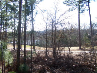 363 Forest Pines Road Aiken, SC 29803 - Photo 1 of 1 Gallery Image 1