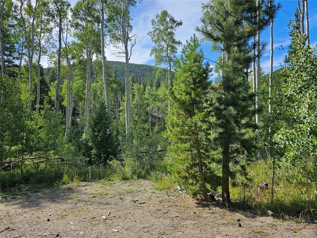 a view of a green yard with large trees