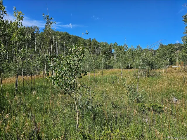 a view of a field with a tree in the background
