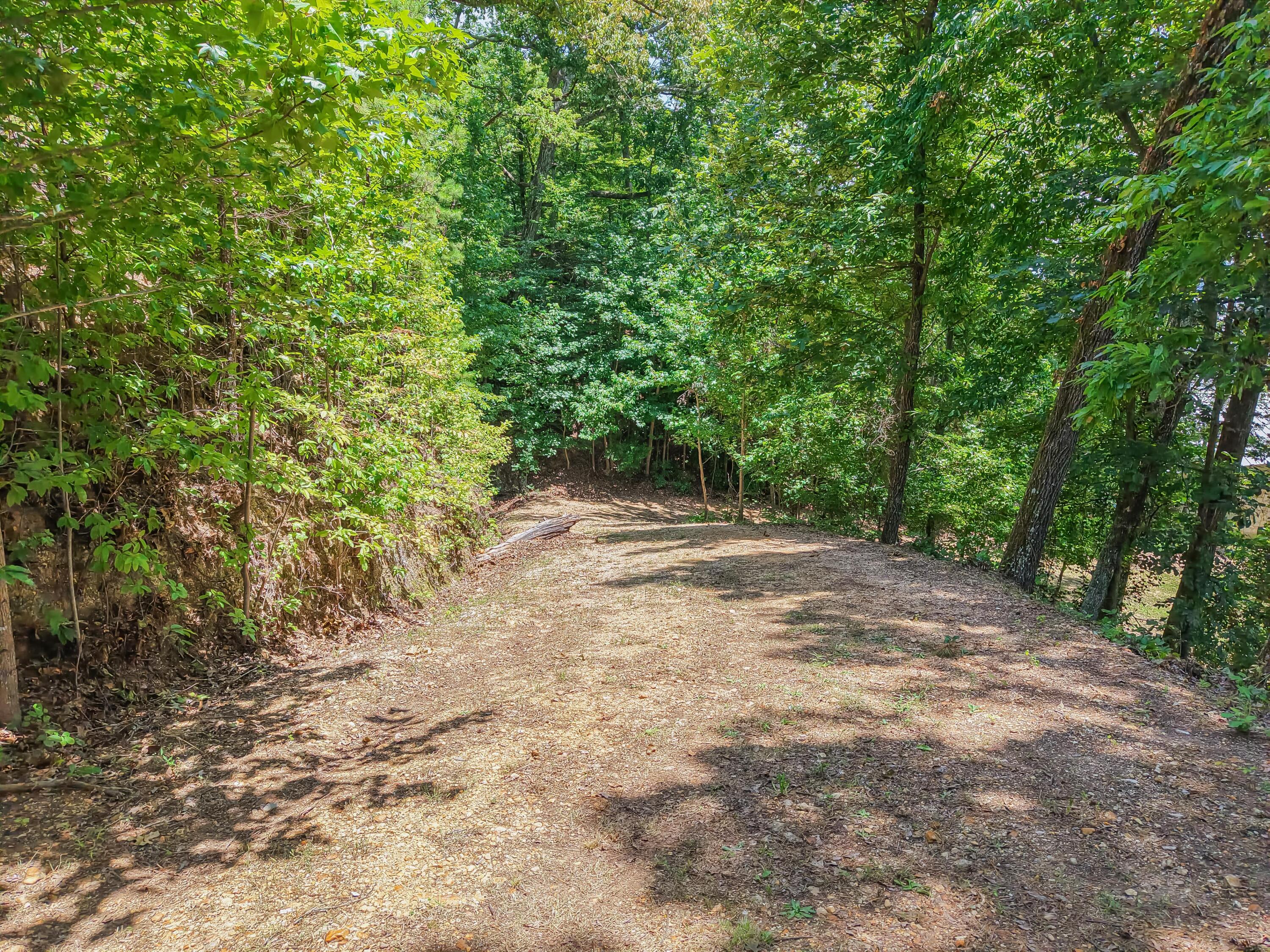 High Grove Road Iuka, MS 38852 - Photo 23 of 32 Gallery Image 23
