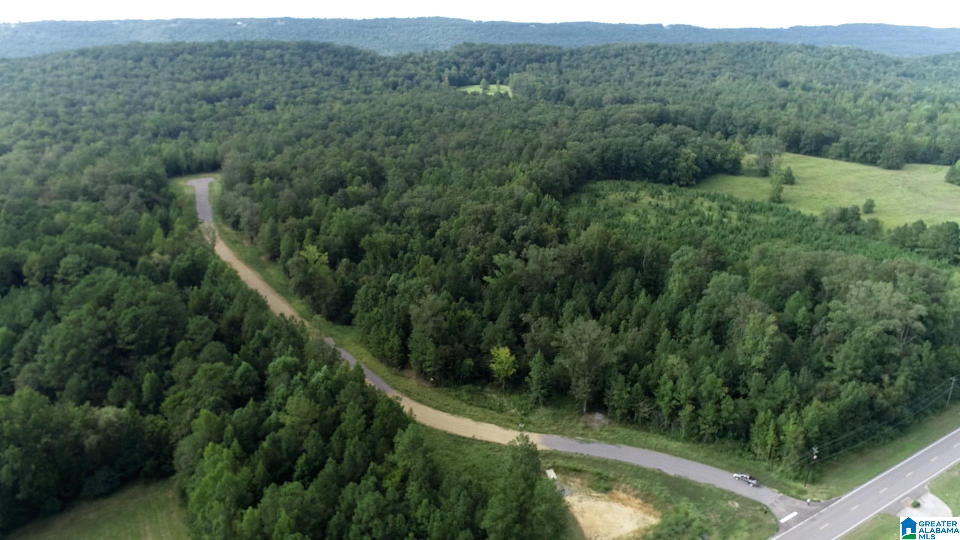 50 Scenic Valley Road, Unit TRACT 3 Springville, AL 35146 - Photo 3 of 10