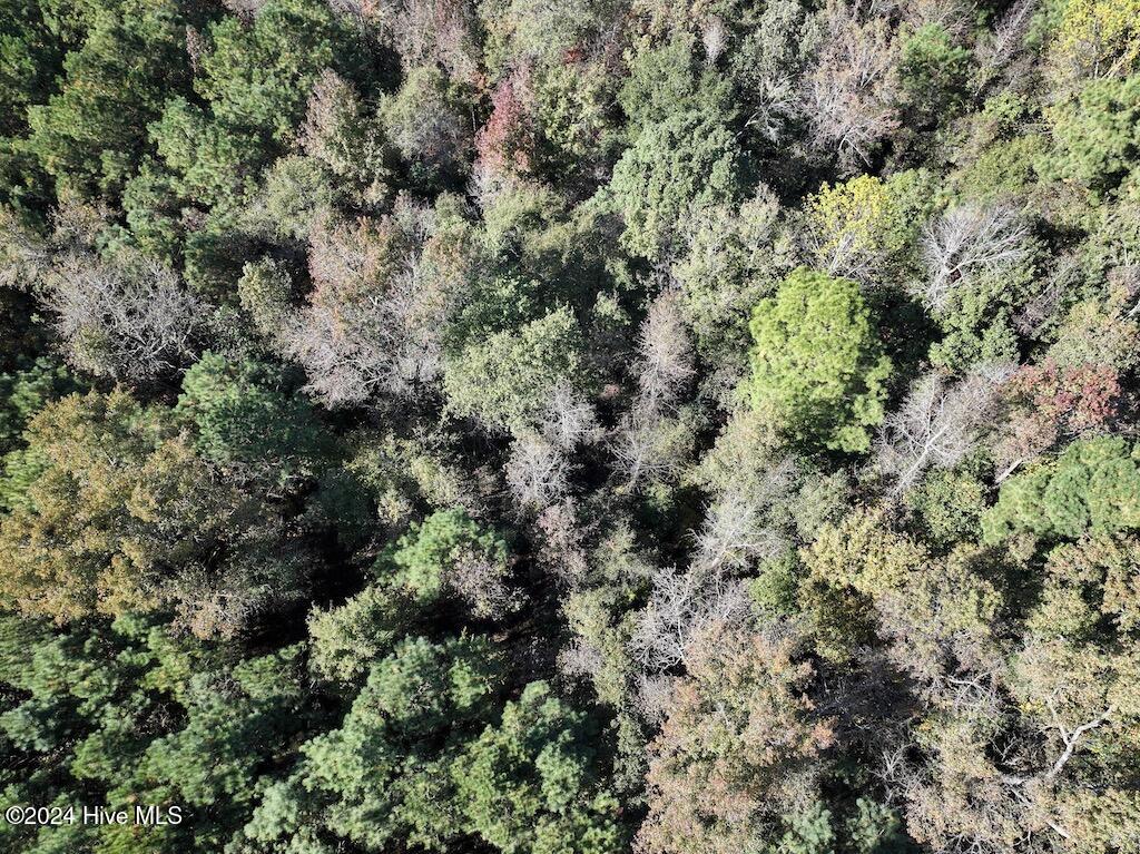 1 Veaches Mill Road Warsaw, NC 28398 - Photo 30 of 33 29