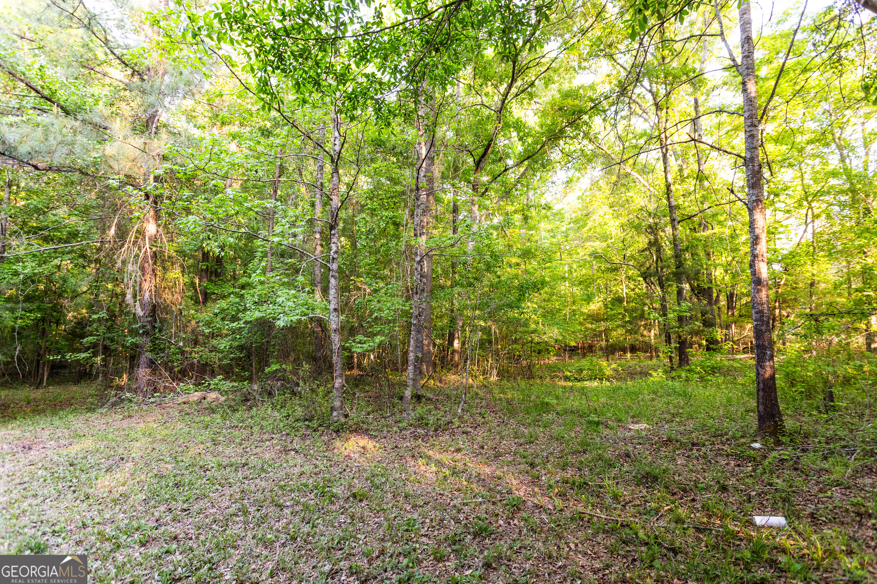 2443 Hodges Farm Road Mansfield, GA 30055 - Photo 32 of 37